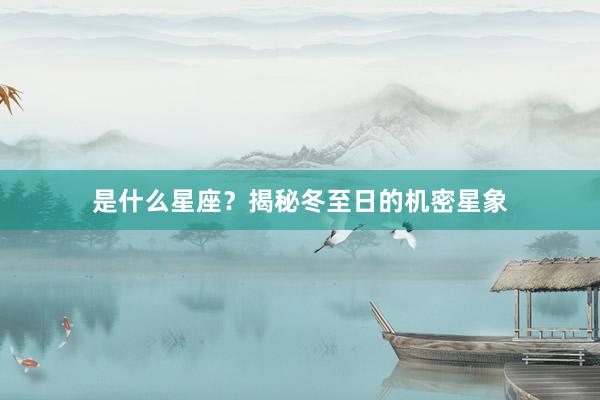 是什么星座？揭秘冬至日的机密星象